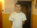FLEVER